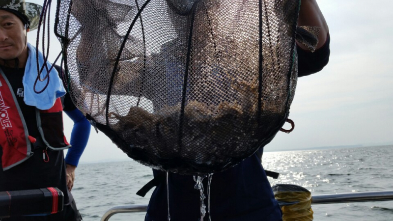 10월 8일 명승호 조황