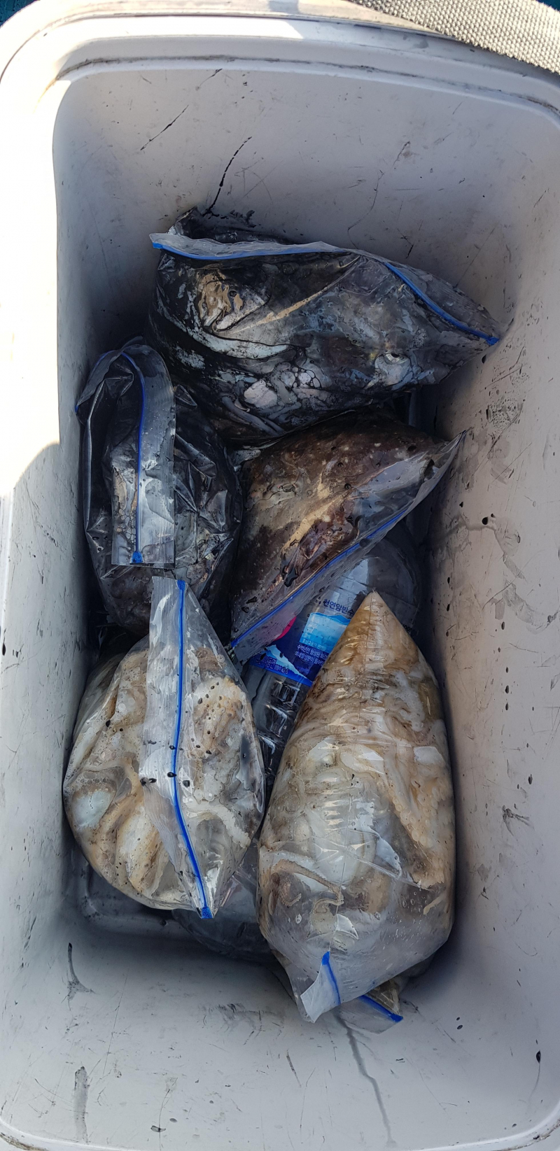 10월 22일 장보고