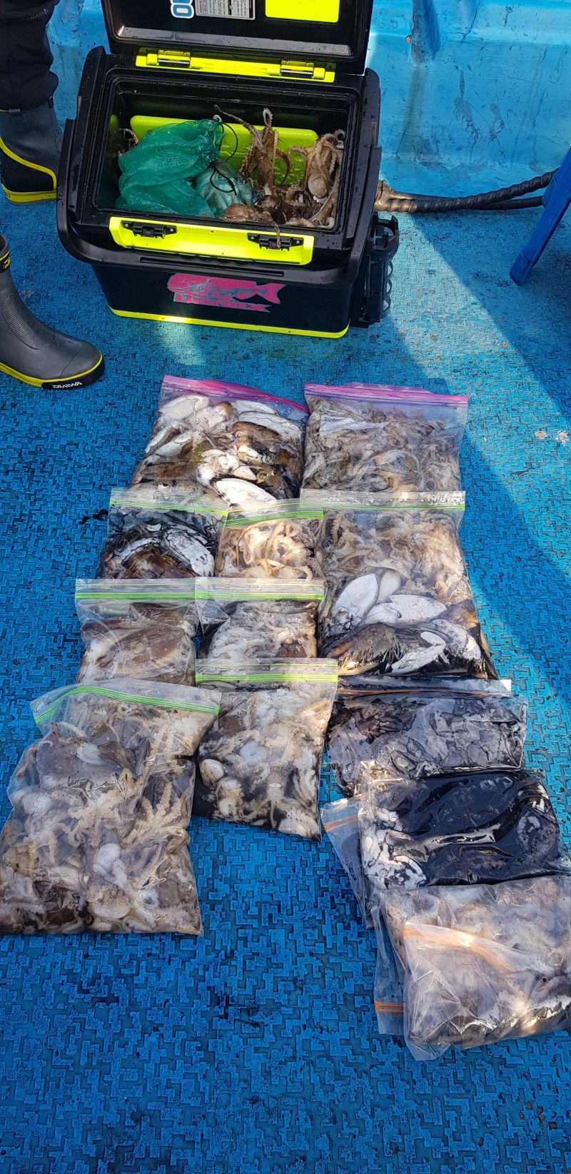 10월 21일 장보고