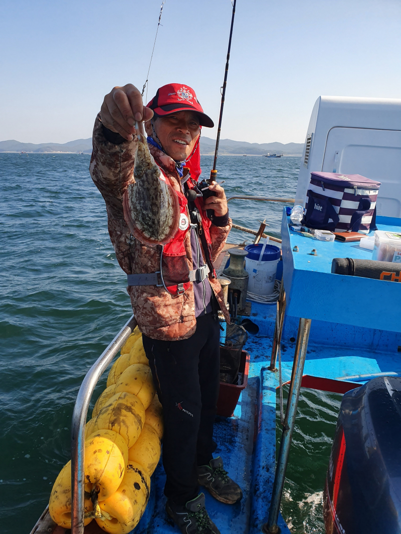 장보고 12~19일까지 조황입니다.