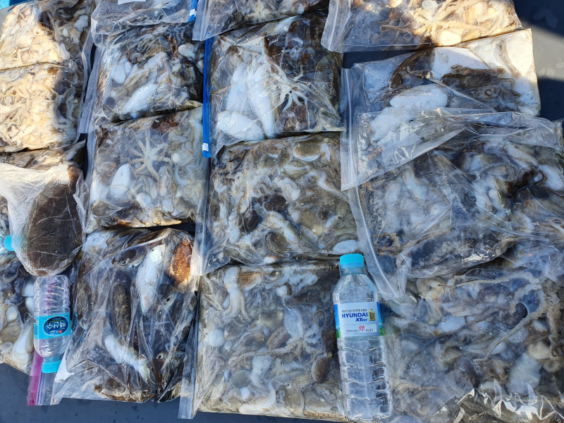 9일 10일 11일 명승호