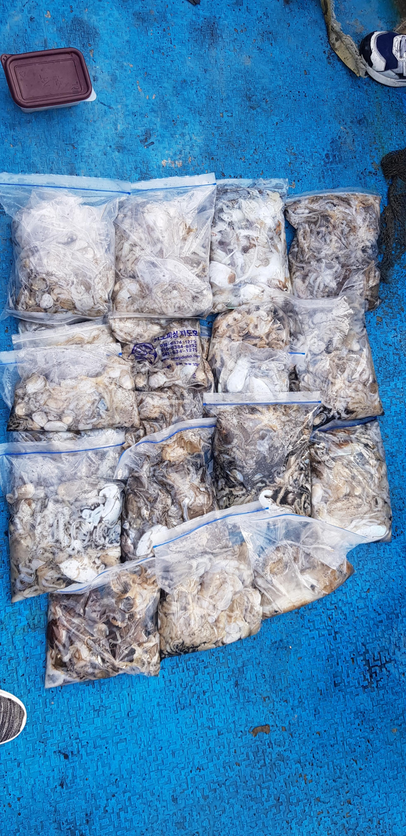 10월 6일 장보고 조황