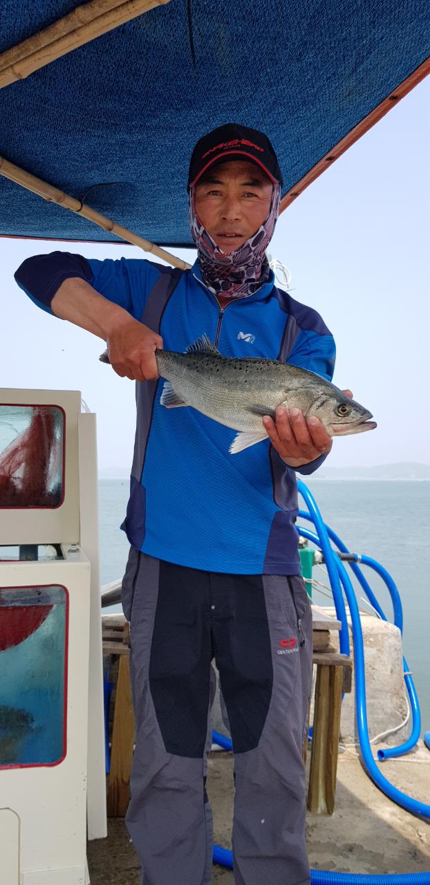 5월 16일 농어 나와염..