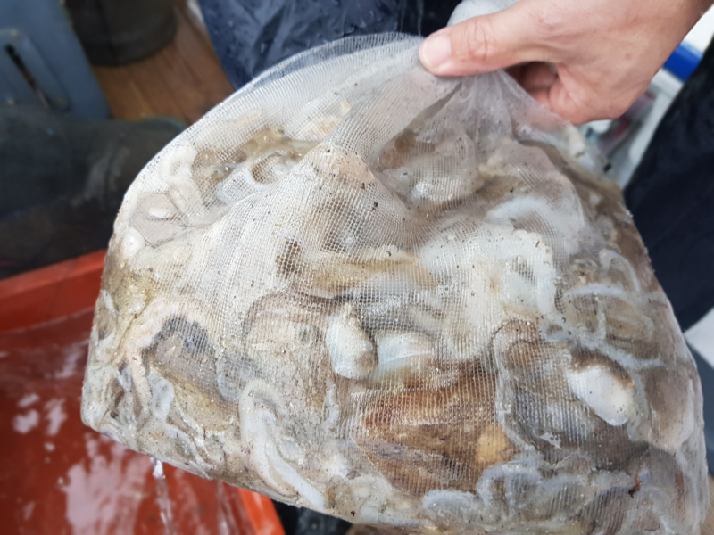 9월 8일 명승호 조황!