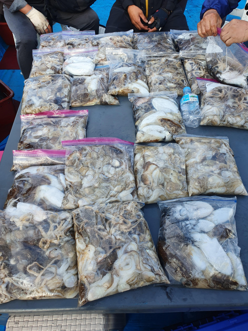 10월 5일 명승호 대박 조황