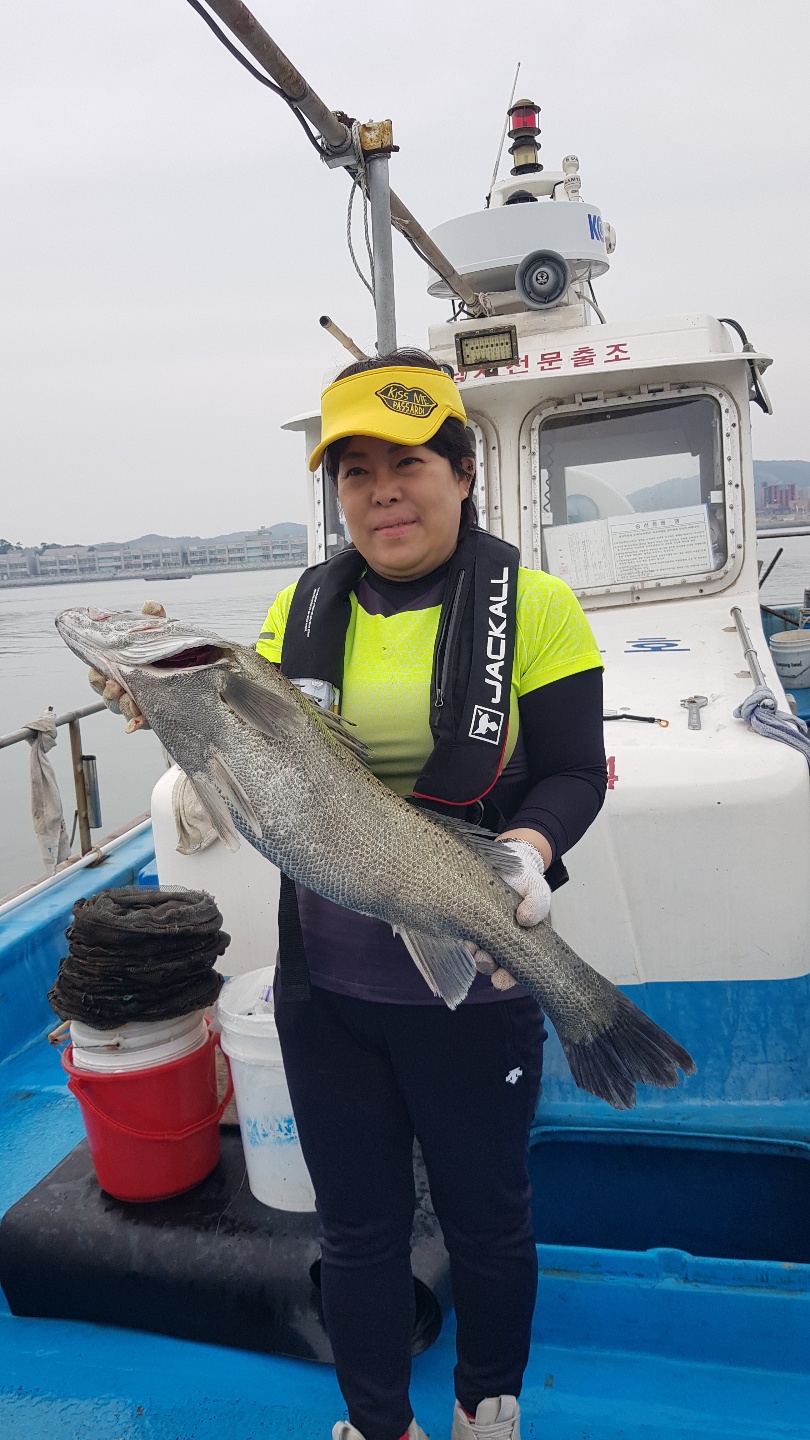 5월23일 농어 조황