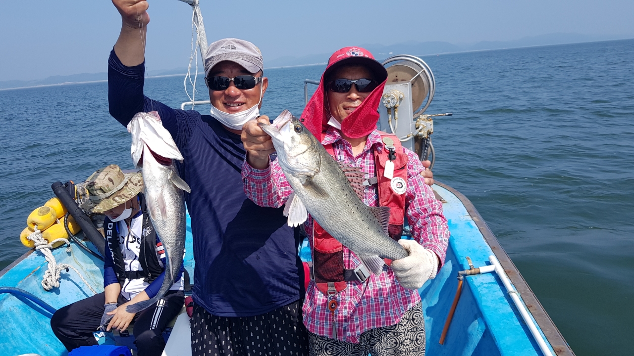 6월19일 장보고 농어 조황